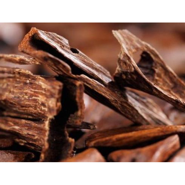 Woody scents