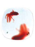 Goldfish - Золотая рыбка